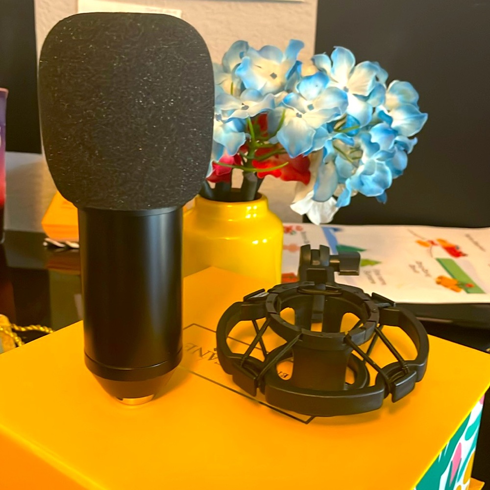 Microphone and Microphone Holder